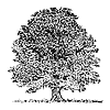 Arbre